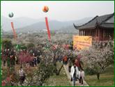 農(nóng)家梅花節(jié)