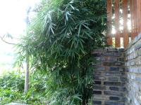 農(nóng)家院一角1