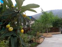 五香家宴農(nóng)家樂(lè)外景4