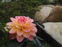 吾鄉山舍外環境6