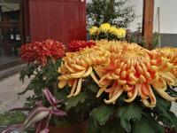 吾鄉山舍外環境5