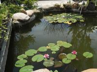 吾鄉山舍外環境4