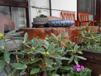 吾鄉山舍外環境3