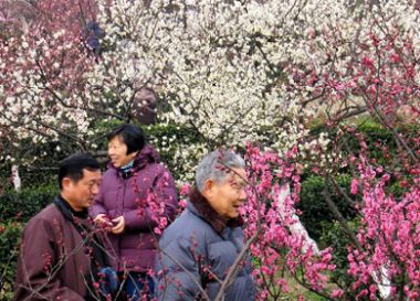 賞梅花園林