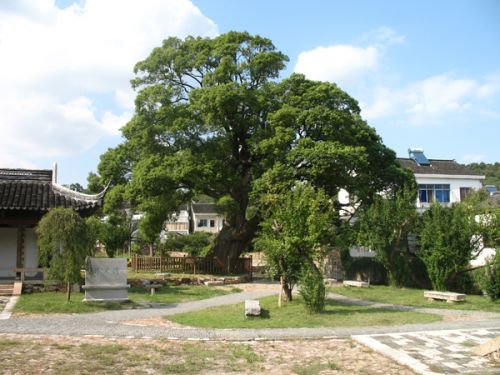 明月灣古村外景